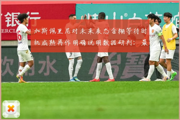 加斯佩里尼对未来表态含糊等待时机成熟再作明确说明数据研判：最新赛事动态与深度分析